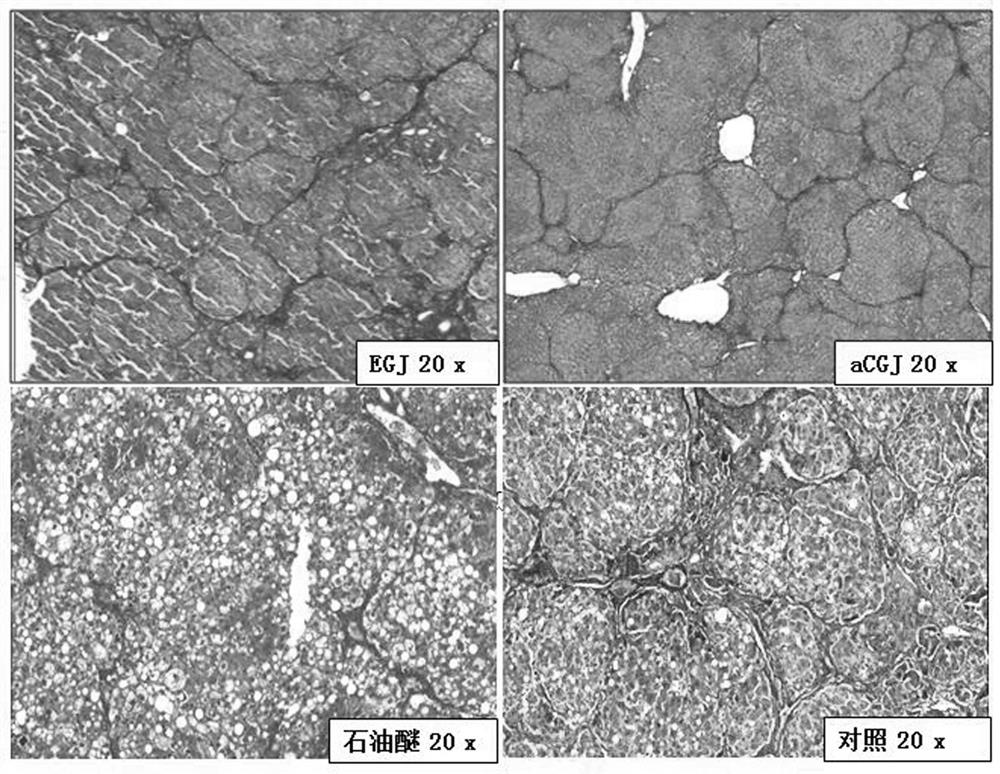 Medicine for preventing and treating ischemic heart disease of mammals as well as preparation method and application of medicine