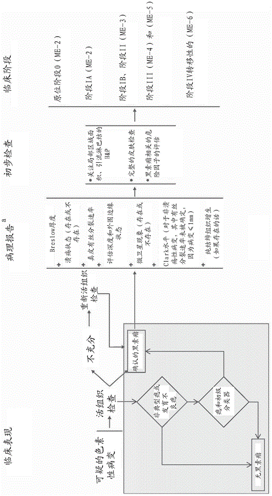 Molecular malignancy in melanocytic lesions