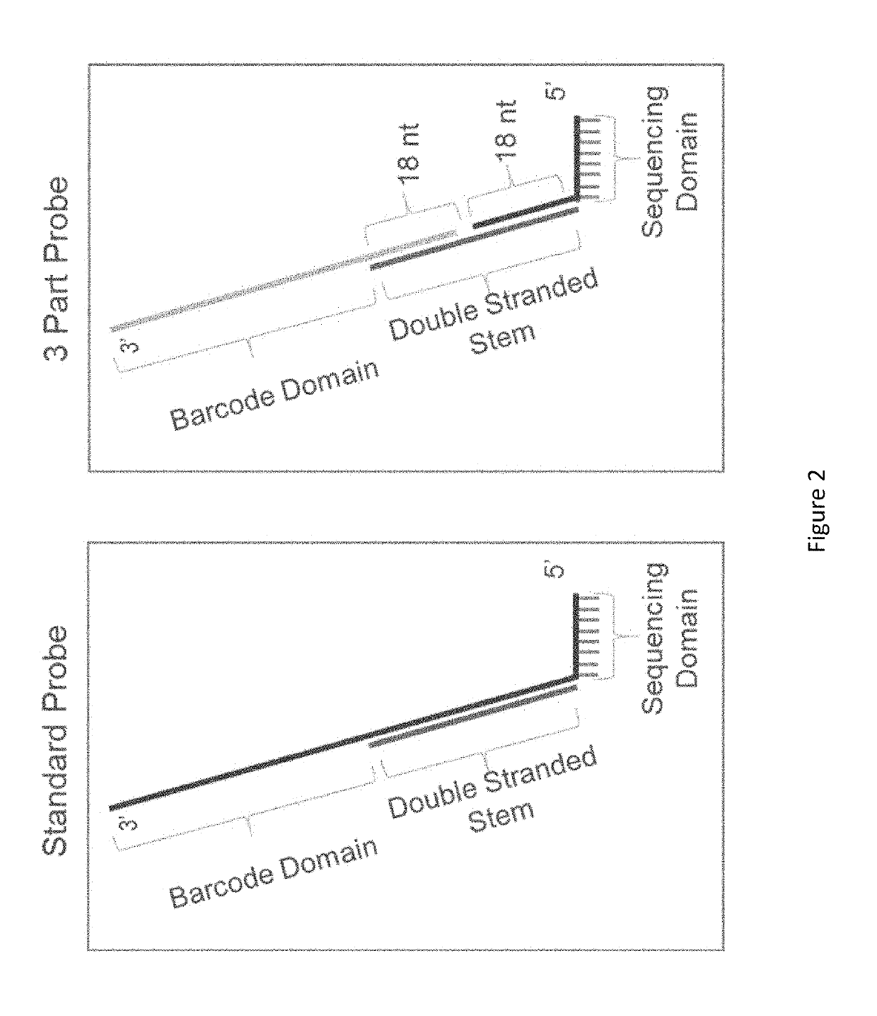 Chemical compositions and methods of using same