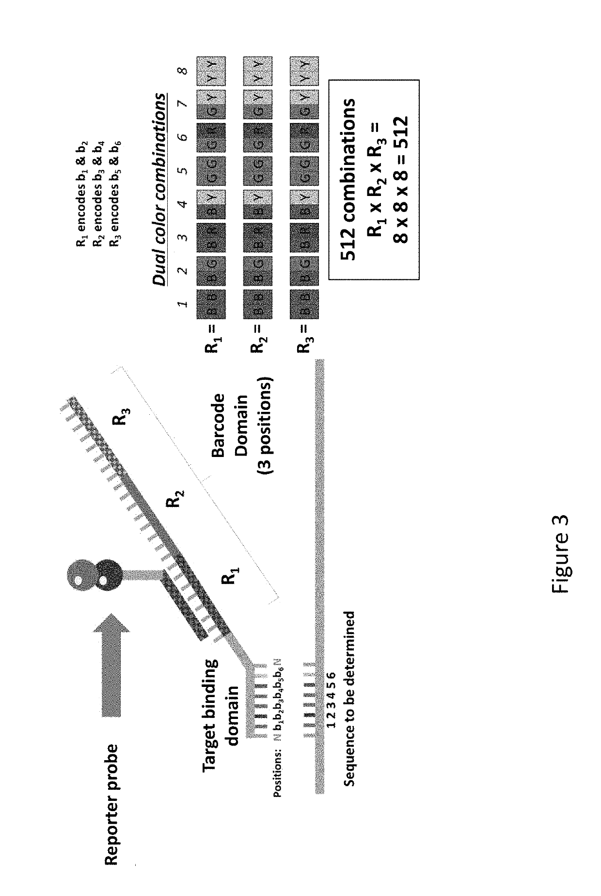 Chemical compositions and methods of using same