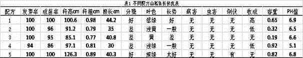 Method for roof greening by utilizing maintain rice