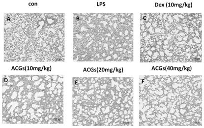 A kind of flavonoid carbon glycoside composition of cloth dregs leaves and its preparation method and application