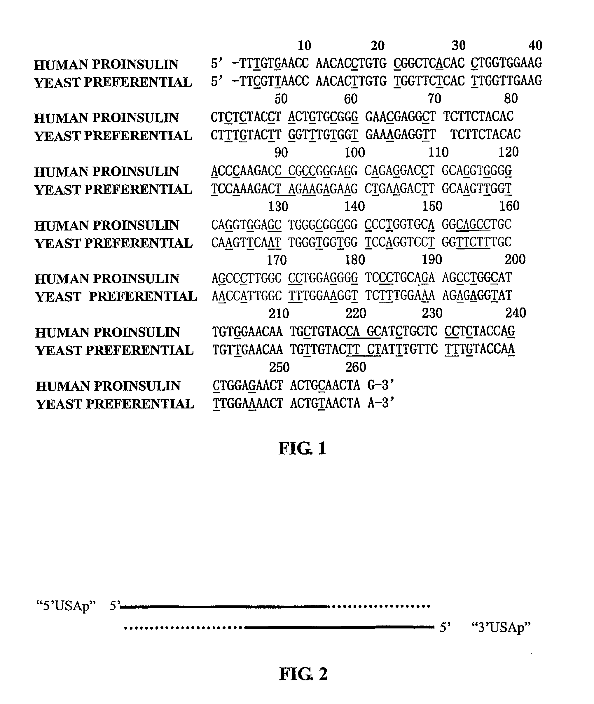 Co-expression of multiple protein chains or subunits