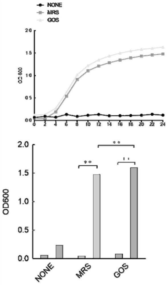 Synbiotic composition and preparation method and application thereof