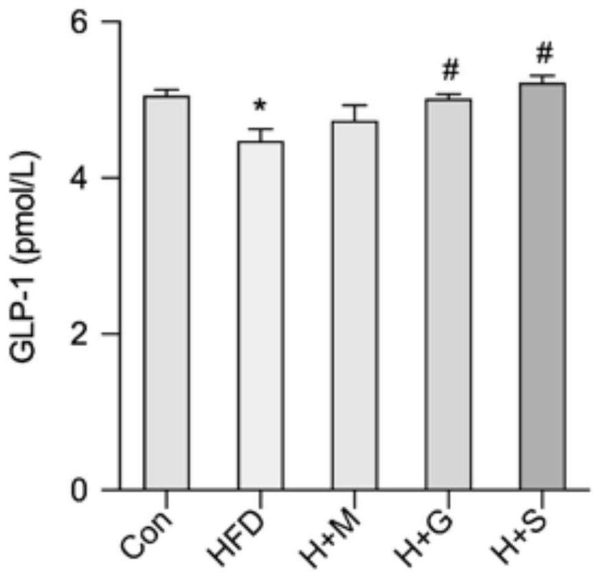 Synbiotic composition and preparation method and application thereof