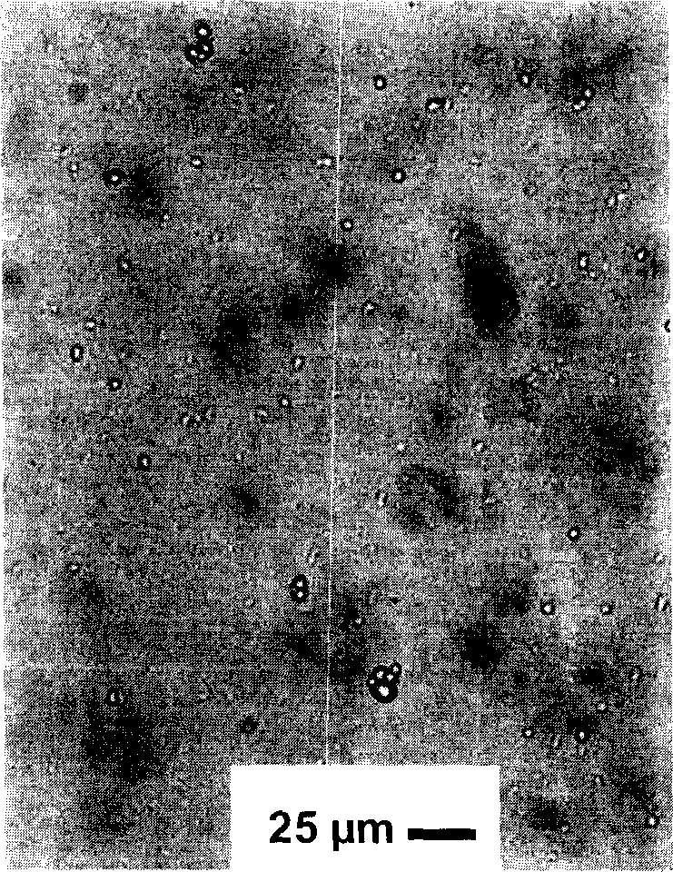 Ginger phenols extract microcapsule and preparation method thereof