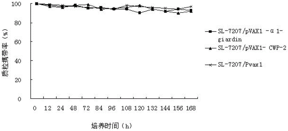 Divalent DNA vaccine for preventing giardiasis and enteric-coated preparation thereof