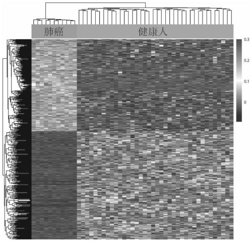 Tumor screening kit based on high-throughput sequencing technology for free DNA in peripheral blood plasma and system and method of tumor screening kit