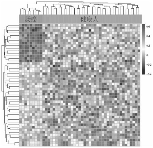 Tumor screening kit based on high-throughput sequencing technology for free DNA in peripheral blood plasma and system and method of tumor screening kit