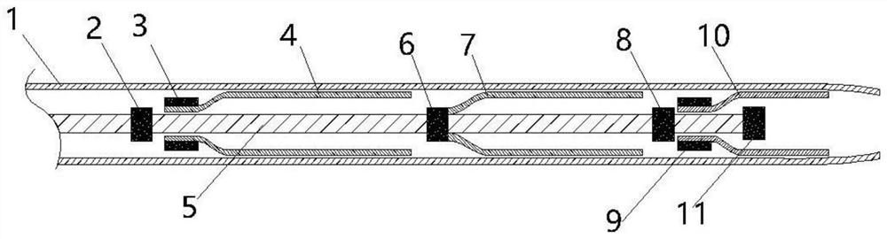 Thrombus taking stent system with near-end protection and far-end protection functions