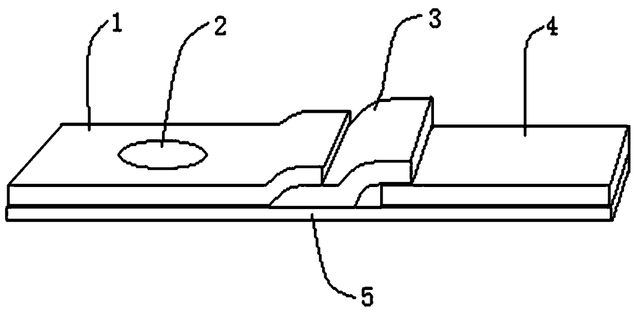 Quick rongalite test paper and preparation method thereof