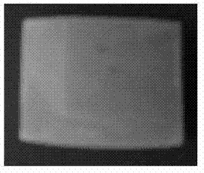 Method for rolling large-sized fine grain magnesium alloy plate