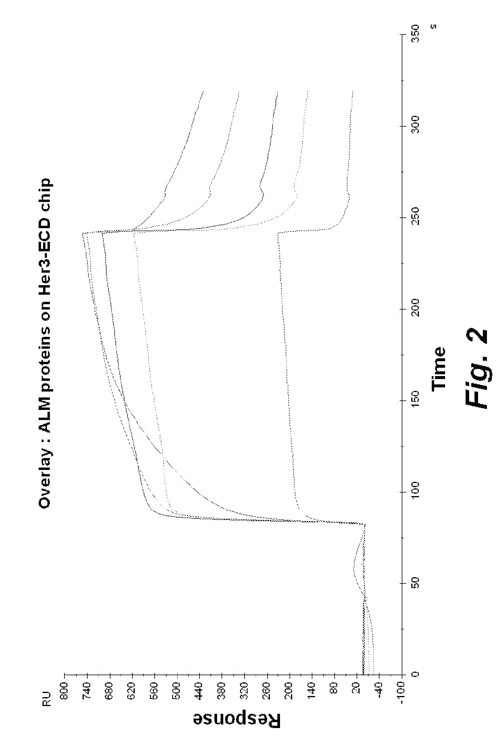 BISPECIFIC SINGLE CHAIN Fv ANTIBODY MOLECULES AND METHODS OF USE THEREOF