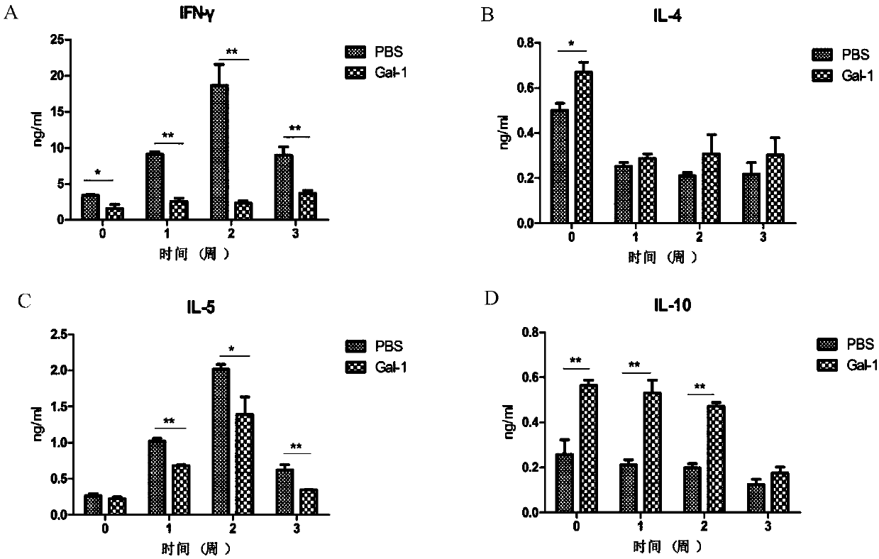 Application of a protein galectin-1 from Angiostrongylus cantonensis