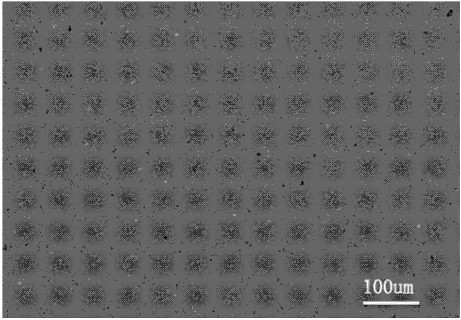 Silicon carbide particle reinforced 316L stainless steel substrate composite material and preparation method thereof