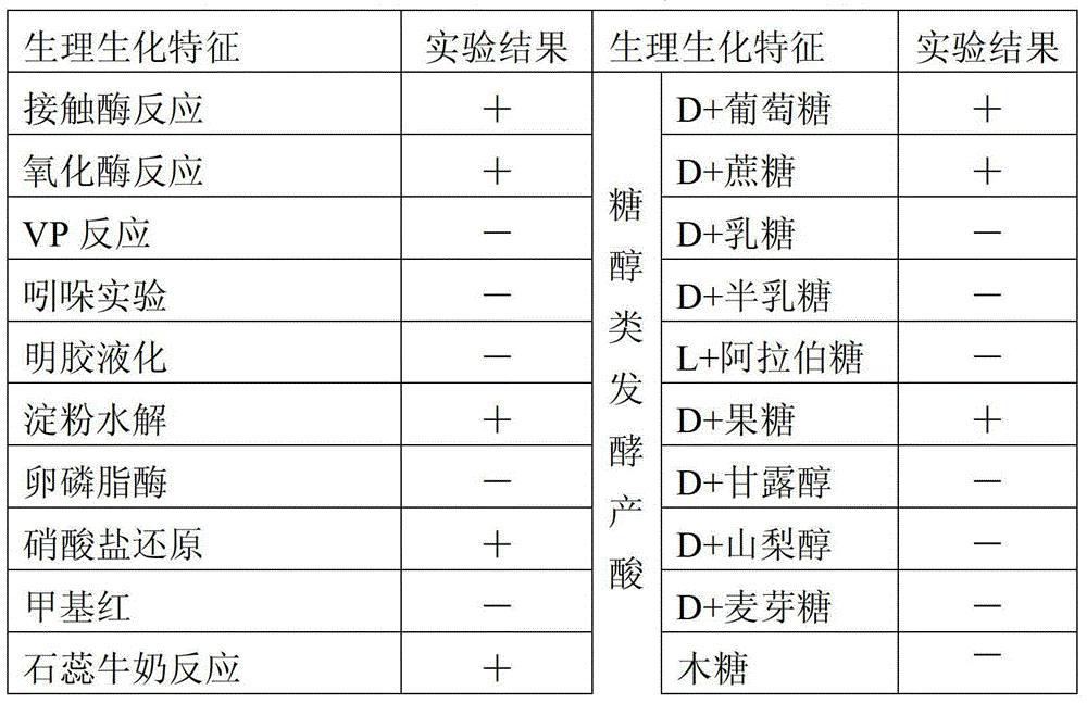 Bacterium for degrading herbicide imazethapyr and application of bacterium