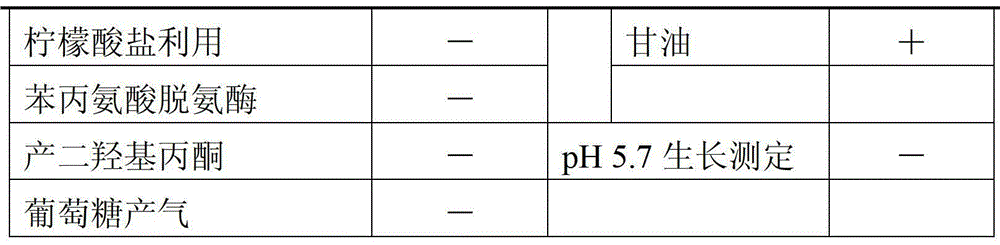 Bacterium for degrading herbicide imazethapyr and application of bacterium