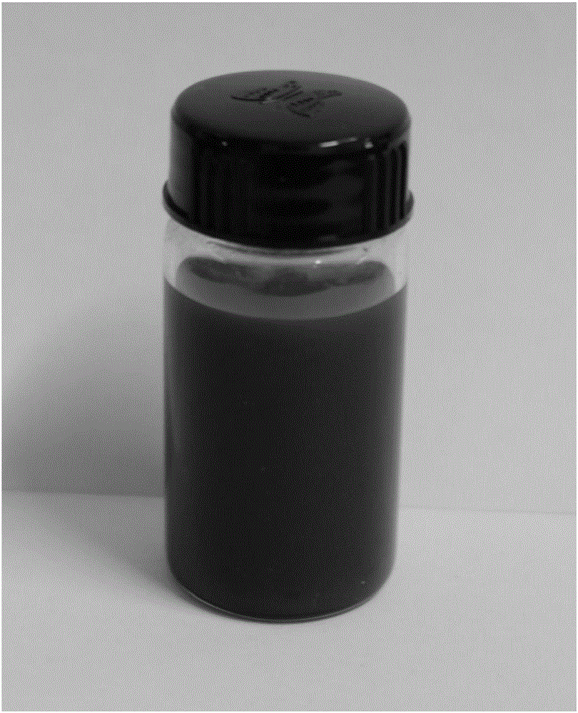 Preparation method of transition metal disulfide quantum chip