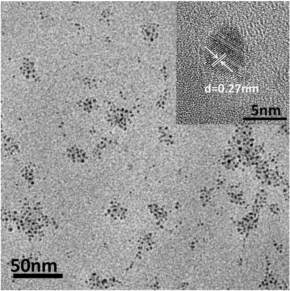 Preparation method of transition metal disulfide quantum chip