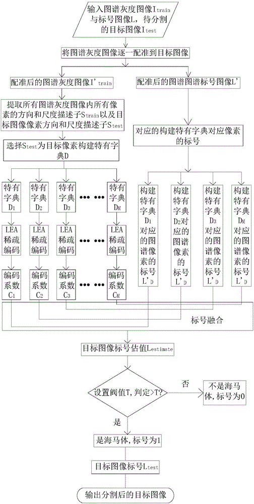 Multi-graph image segmentation based on direction and scale descriptors