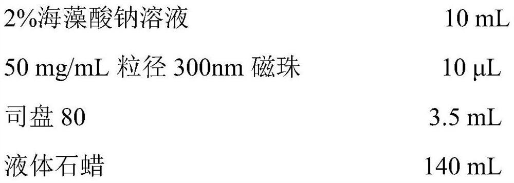 Degradable immunomagnetic bead and preparation method thereof