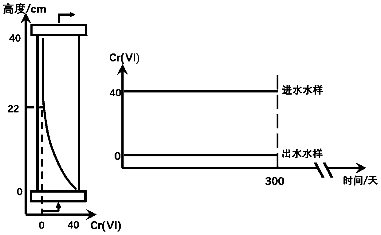 Iron-modified biochar particle as well as preparation method and application thereof