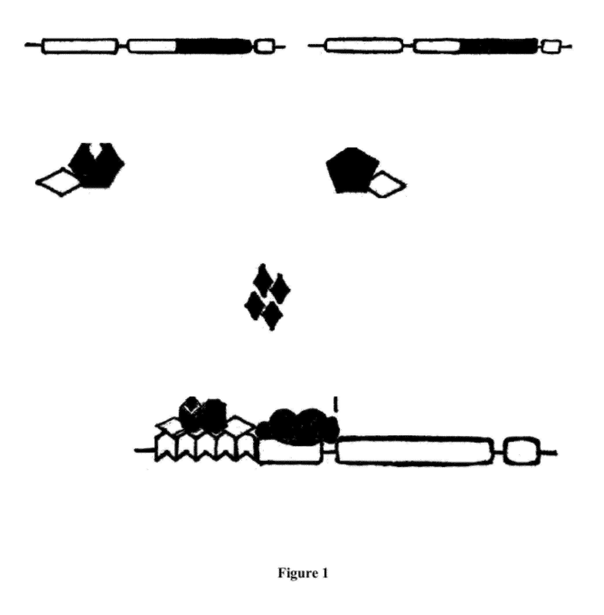 Gene expression modulation system for use in plants and method for modulating gene expression in plants