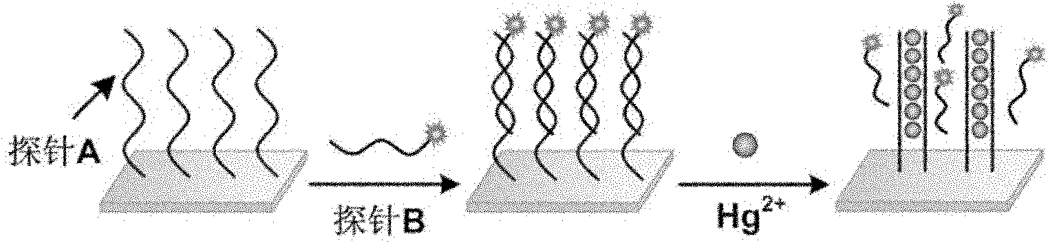 Oligonucleotides chain-based mercury ion fluorescent detection chip, manufacturing method thereof and using method thereof