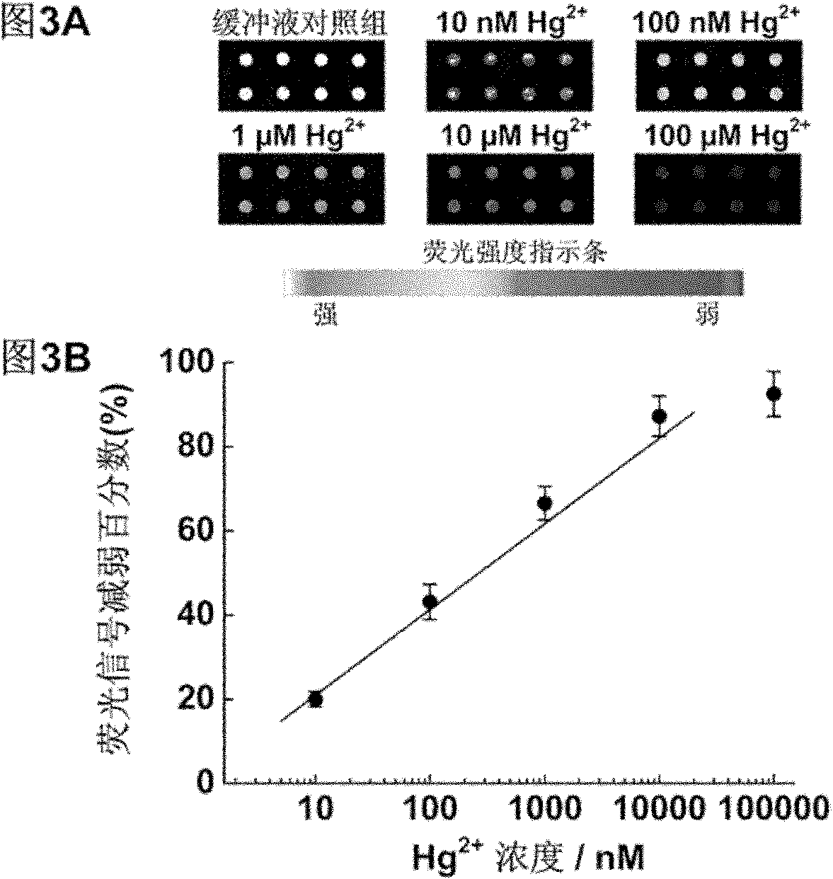 Oligonucleotides chain-based mercury ion fluorescent detection chip, manufacturing method thereof and using method thereof