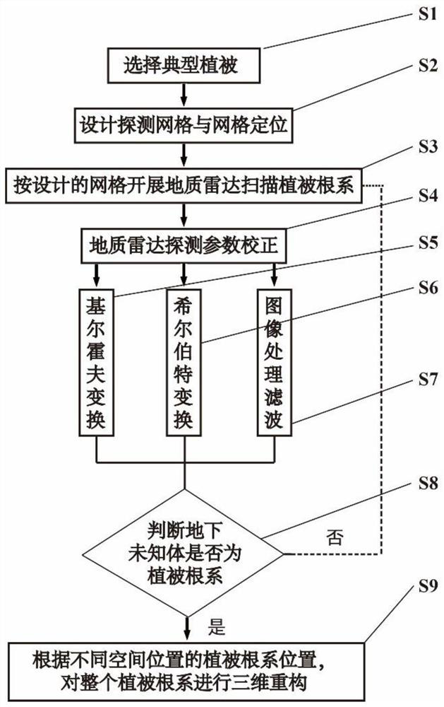 Vegetation root system three-dimensional nondestructive detection method based on geological radar