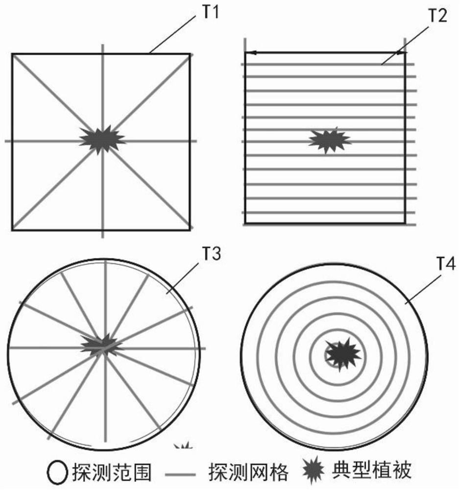 Vegetation root system three-dimensional nondestructive detection method based on geological radar