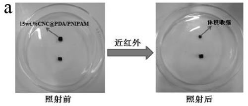 Cellulose/N-isopropylacrylamide medicine controllable release hydrogel and preparation method thereof