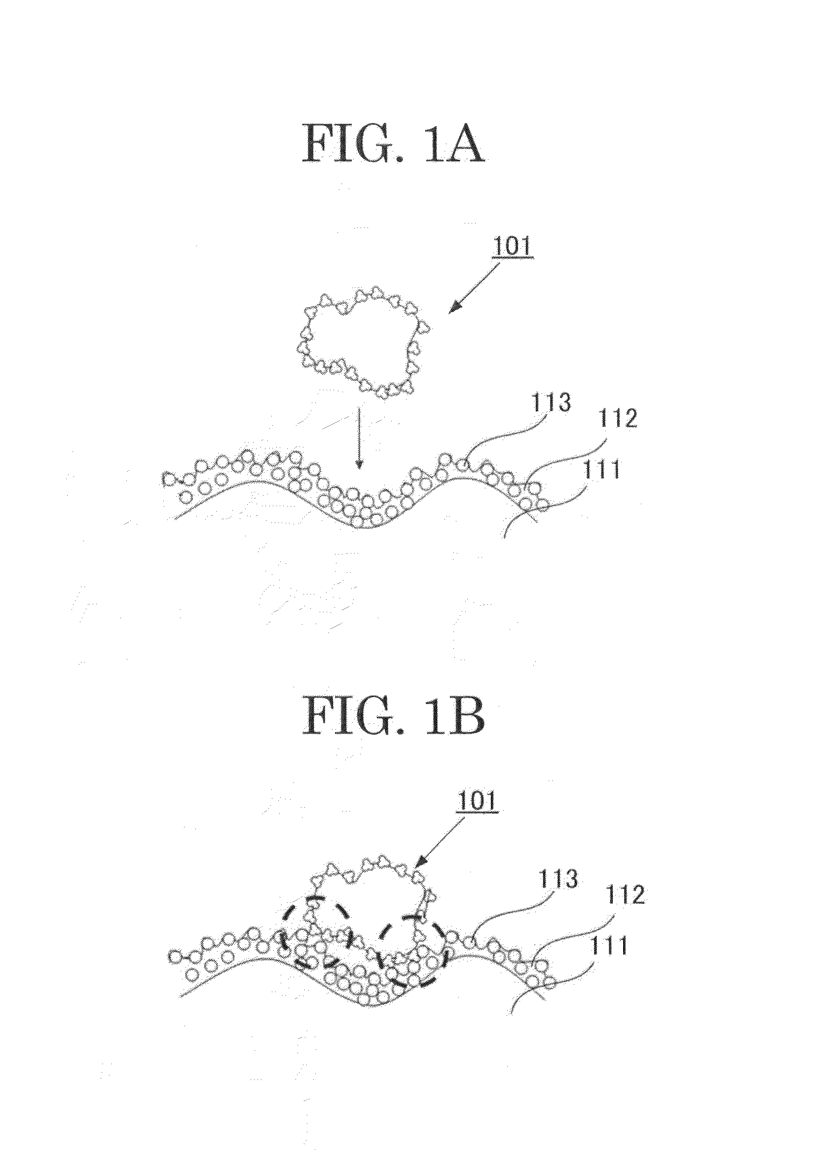 Carrier for developing an electrostatic latent image, developer and image forming apparatus