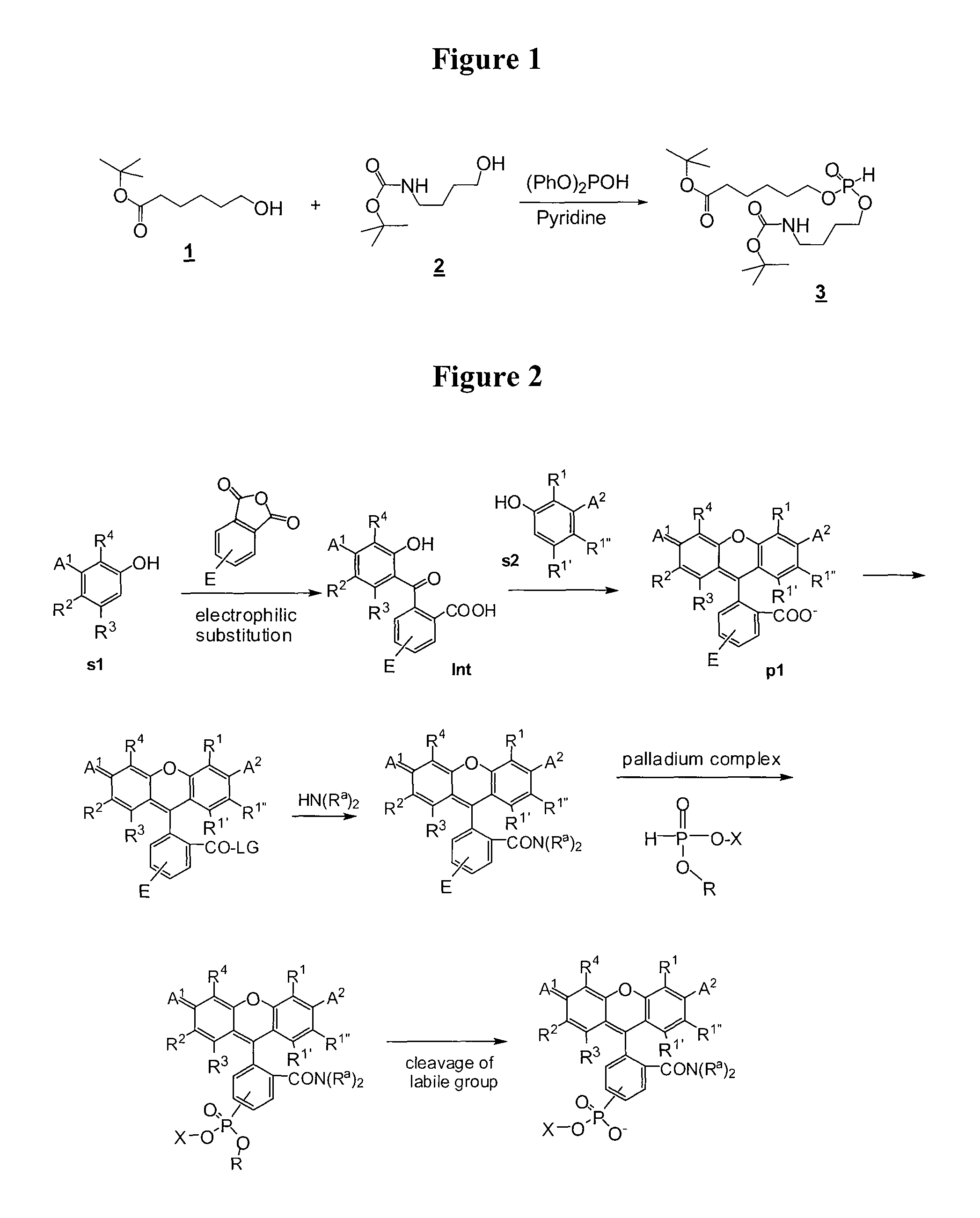 Amide-substituted xanthene dyes