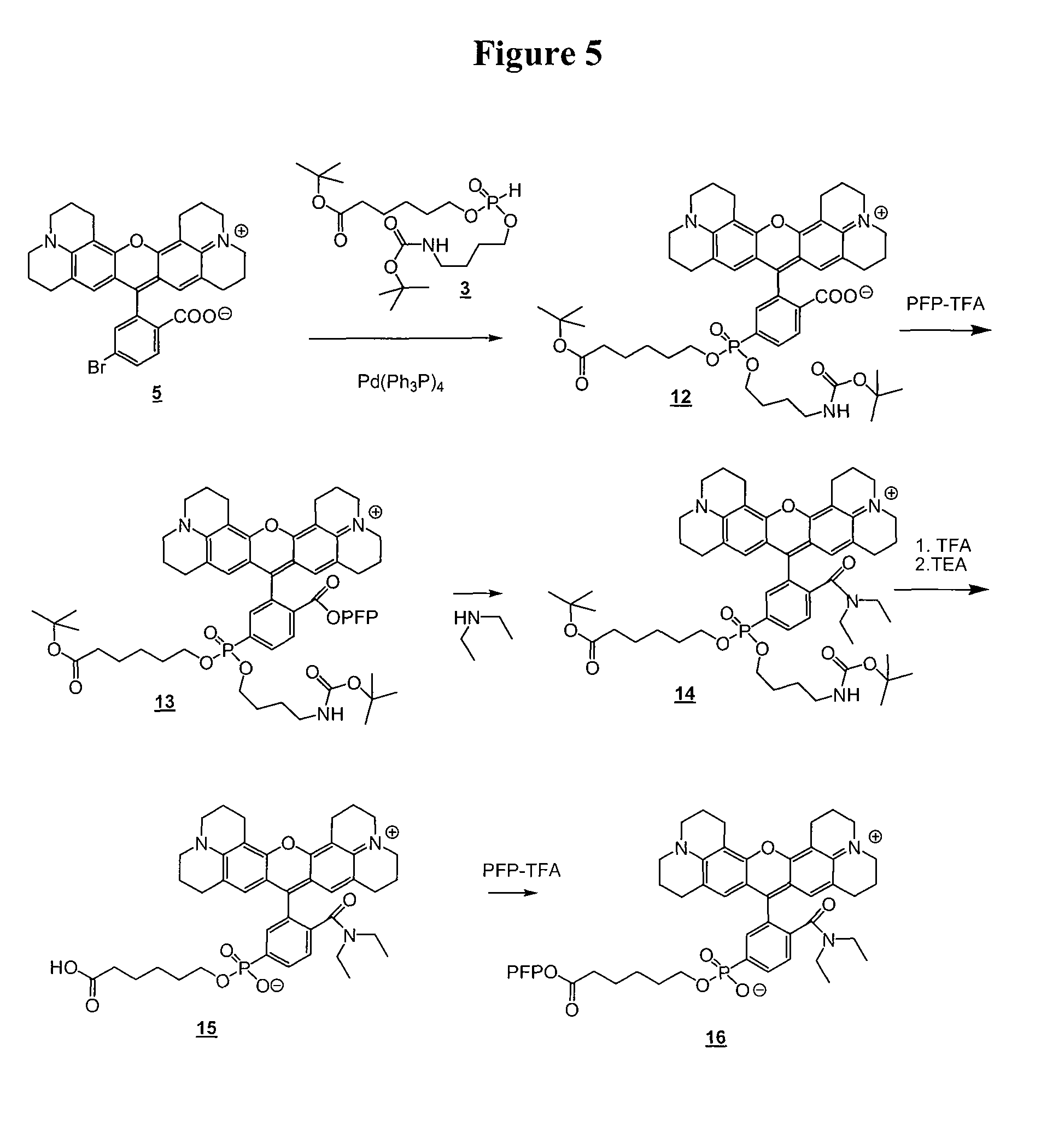 Amide-substituted xanthene dyes