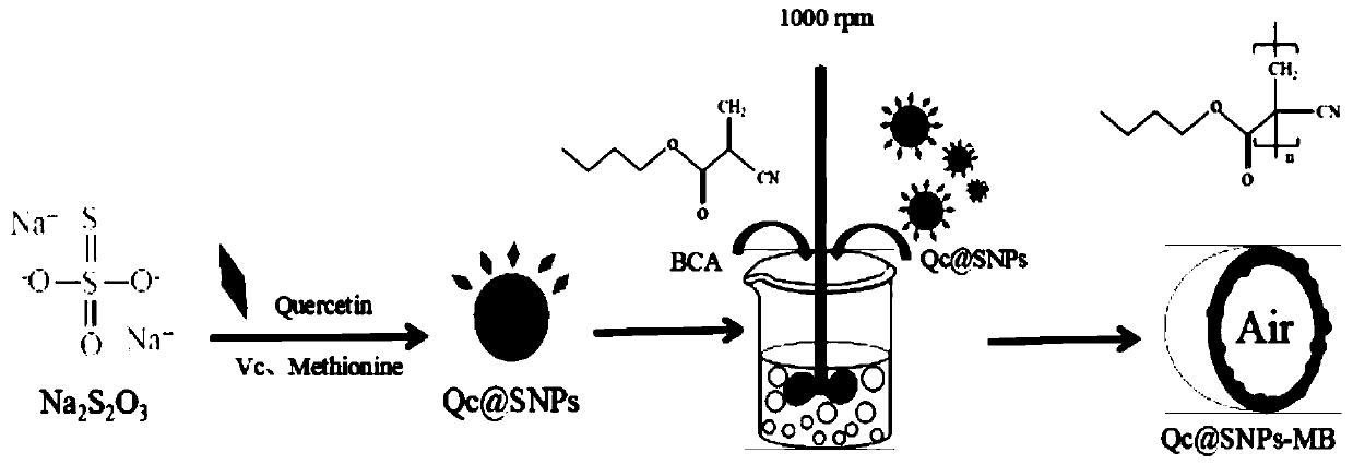 A quercetin-modified nano-sulfur and its preparation method and application in anti-Alzheimer's disease drugs