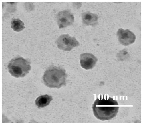 A quercetin-modified nano-sulfur and its preparation method and application in anti-Alzheimer's disease drugs