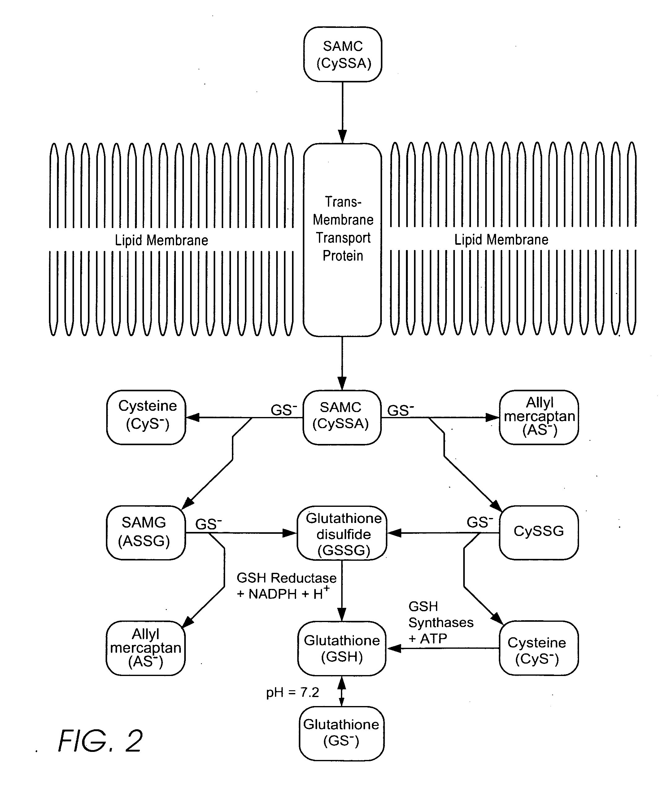 Personal care and medicinal products incorporating orgnosulfur groups