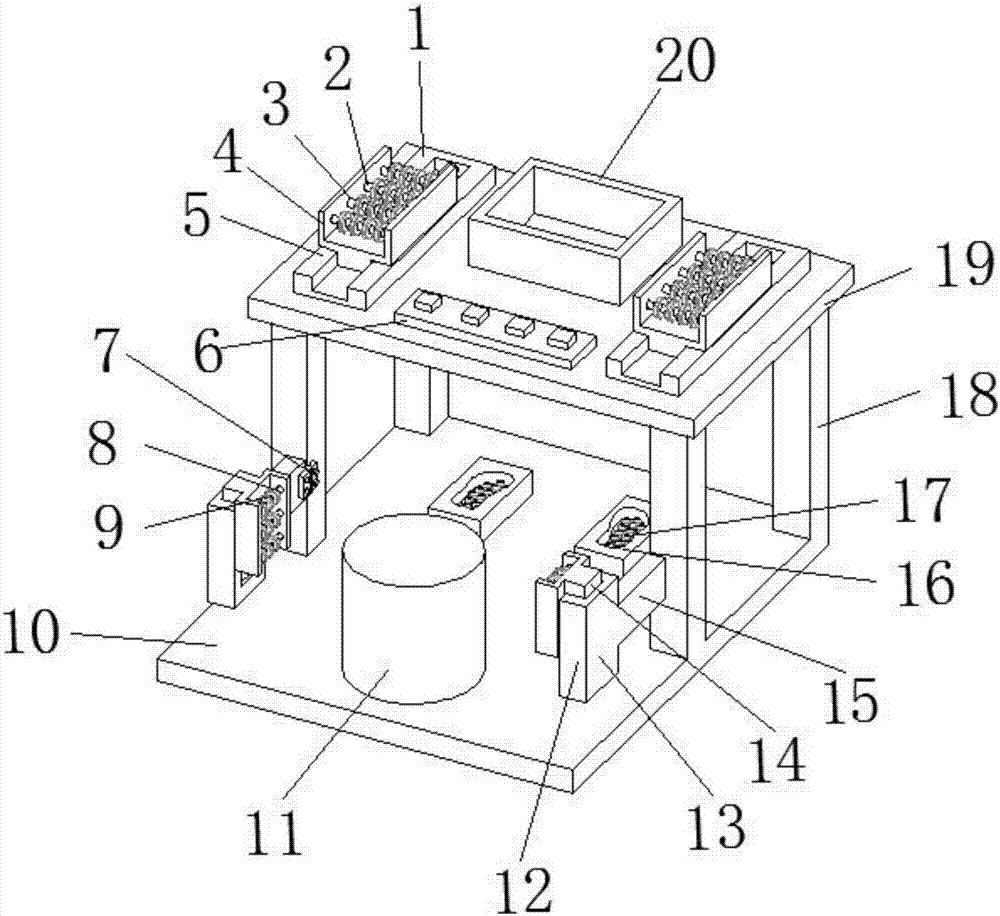 Neurological clinical training massage apparatus