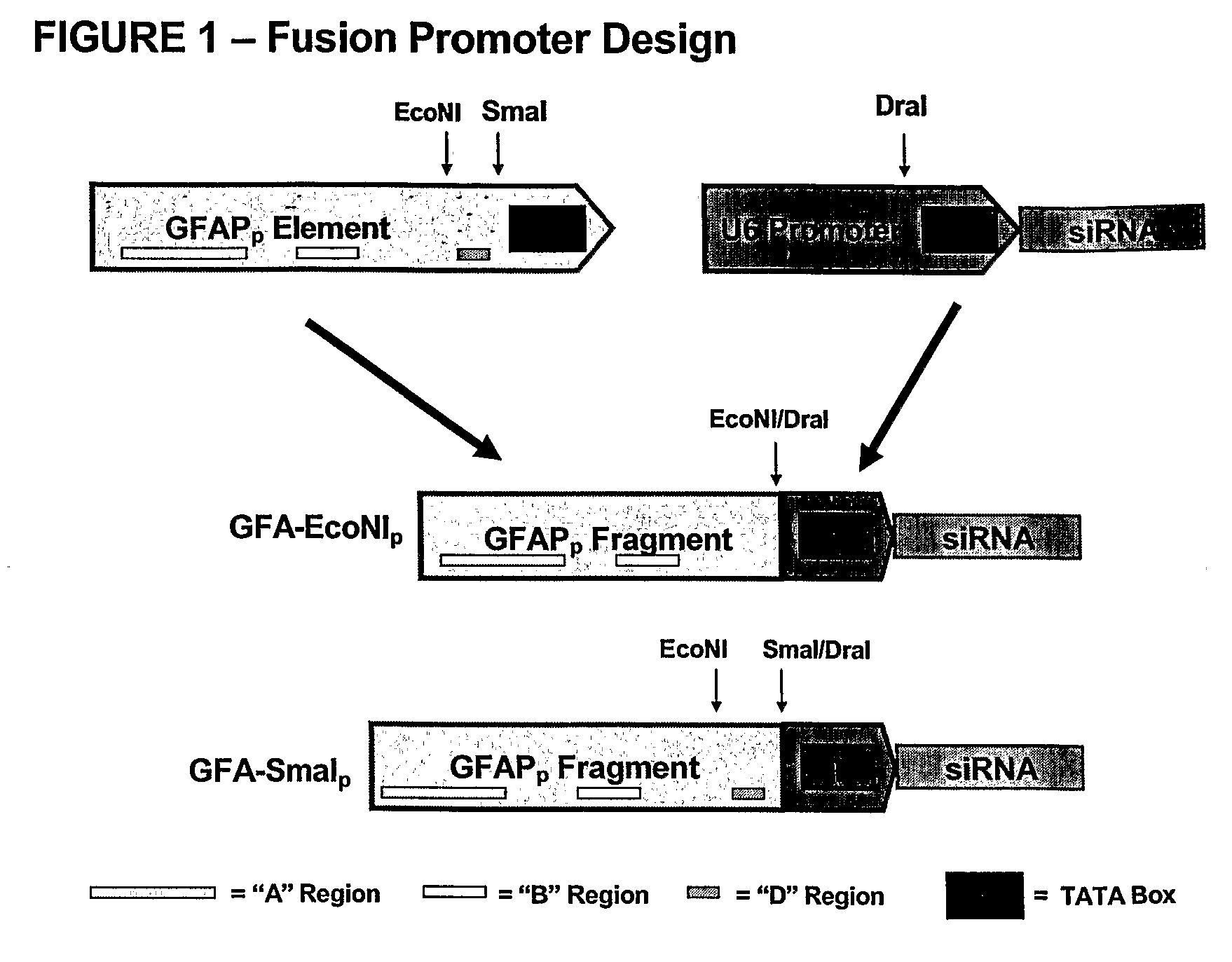 Regulatable fusion promoters