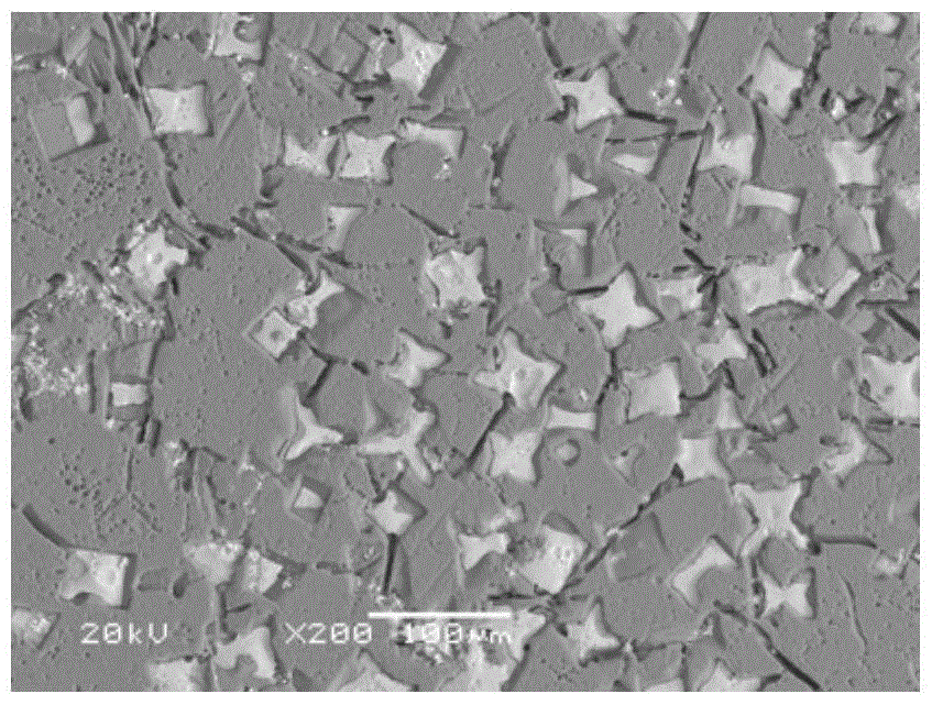 A kind of molten salt electrolysis method for preparing aluminum-scandium master alloy