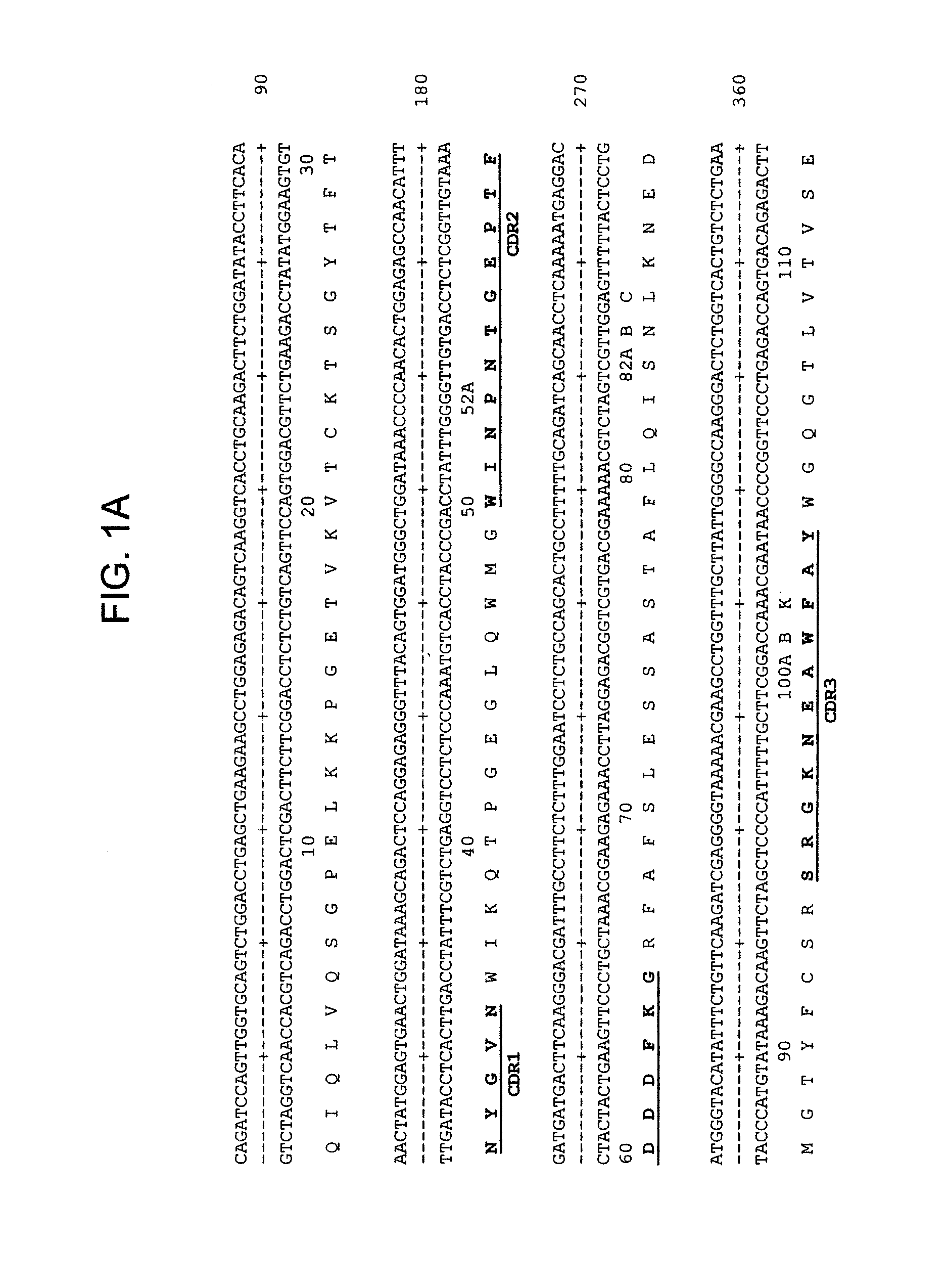 Internalizing Anti-CD74 Antibodies and Methods of Use