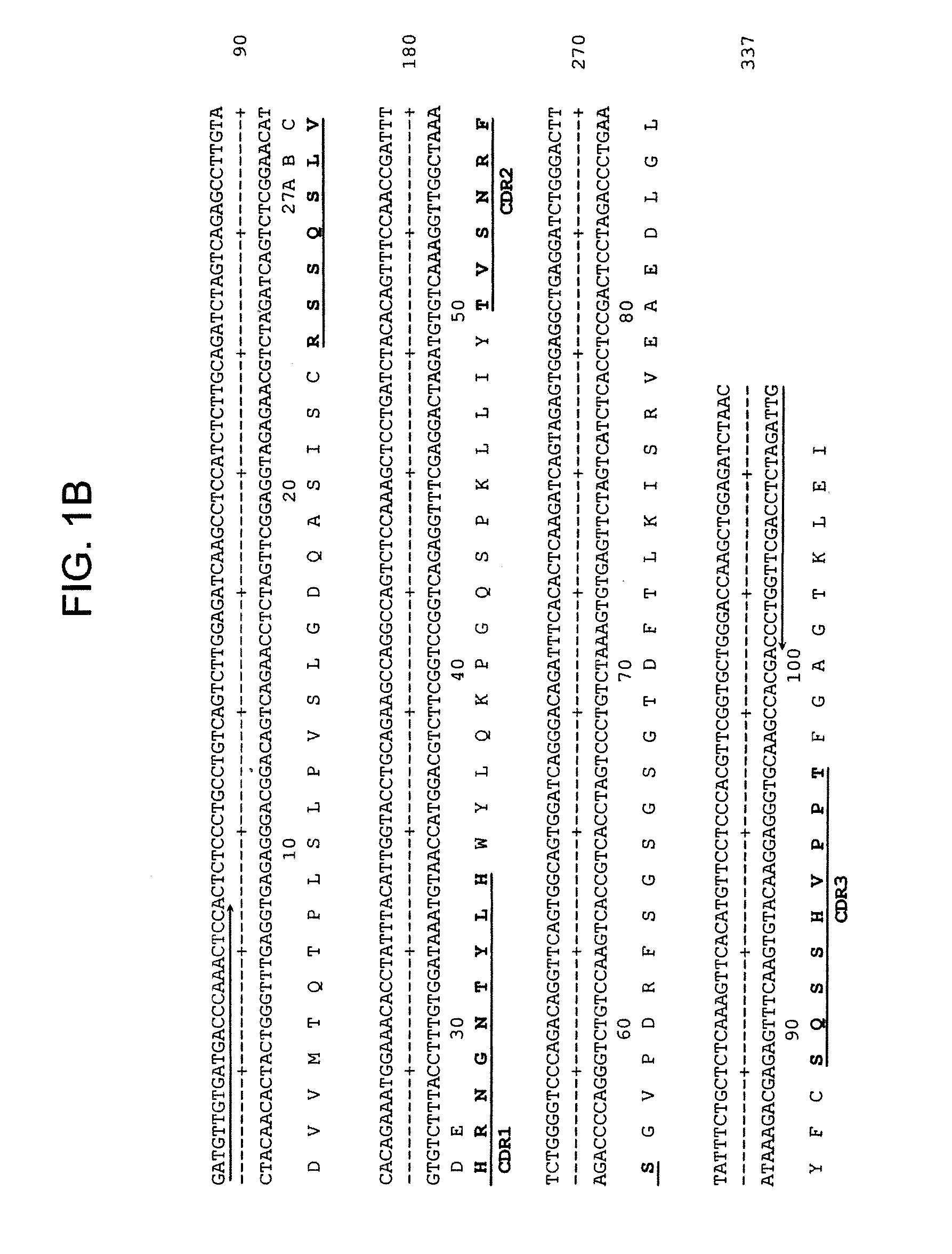 Internalizing Anti-CD74 Antibodies and Methods of Use