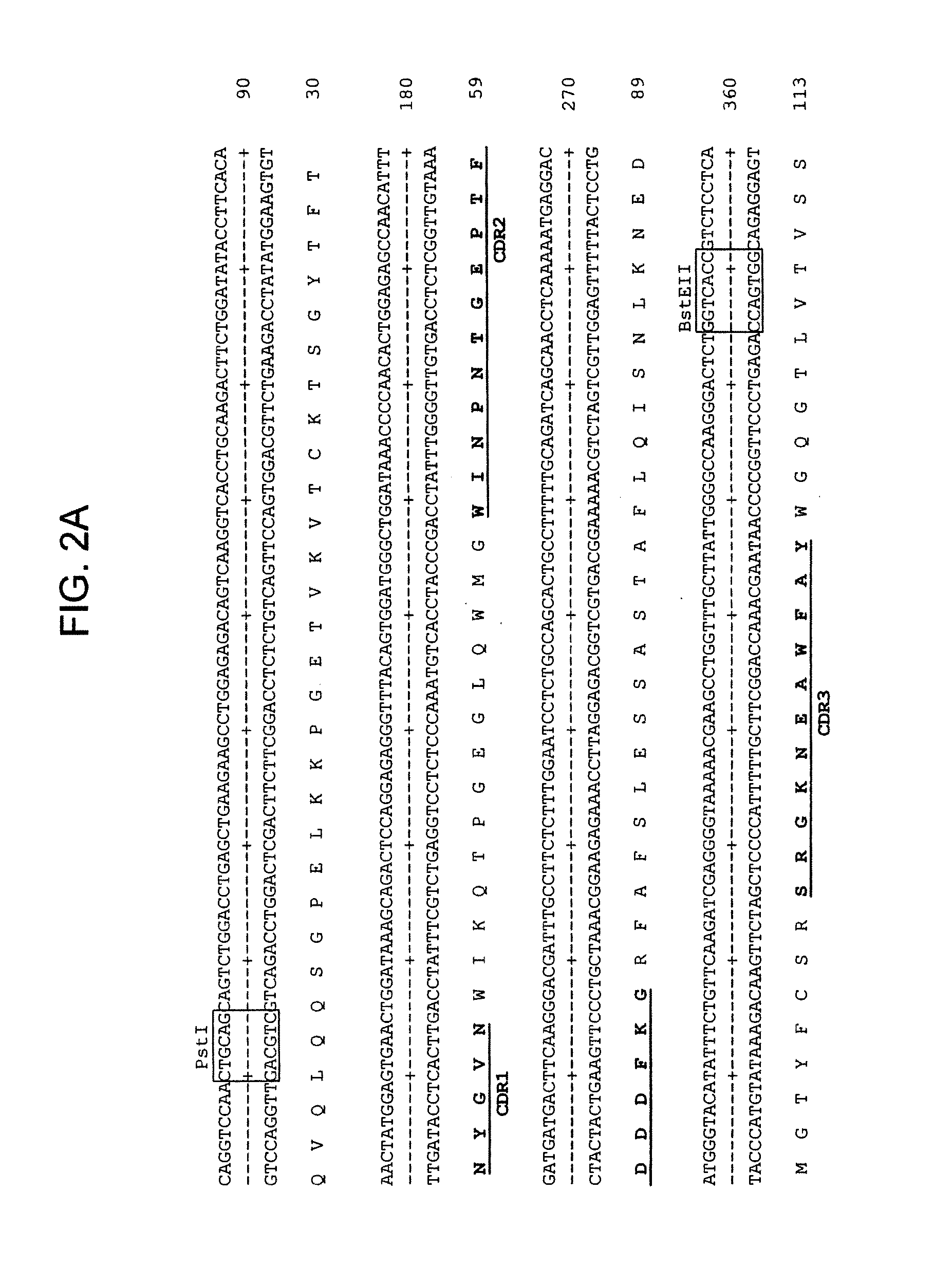 Internalizing Anti-CD74 Antibodies and Methods of Use