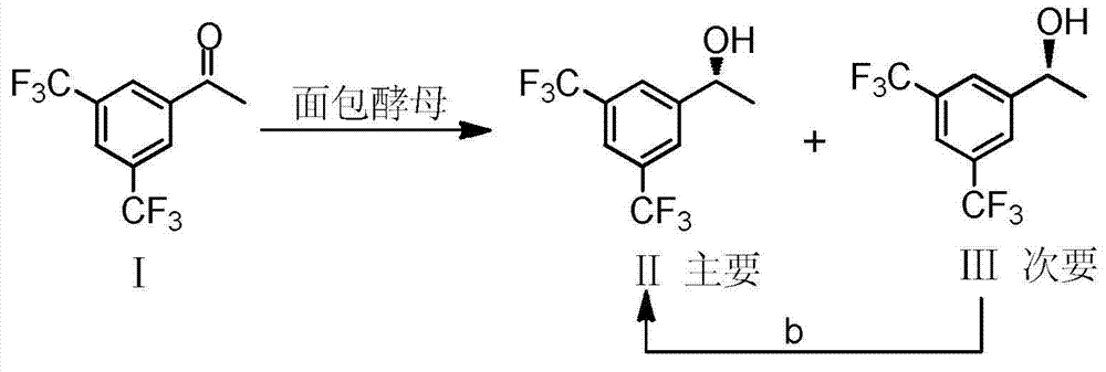 Chiral synthesis method of (R)-1-(3, 5-di (trifluoromethyl) phenyl] ethanol