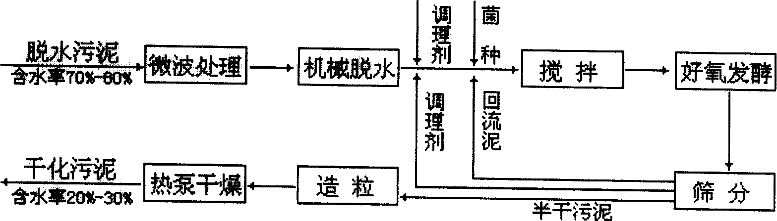 Sludge drying and resource disposal process