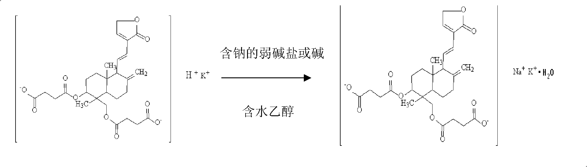 Sterile andrographolide and preparation method thereof