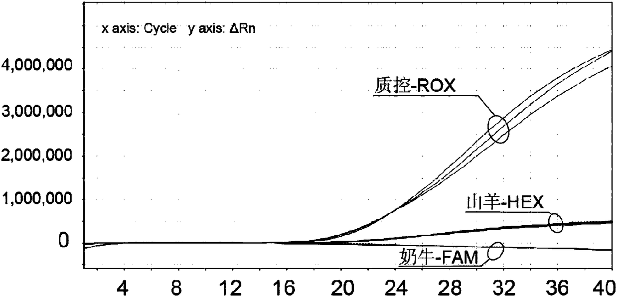 Primers and probes for synchronously detecting goat origin and cow origin in raw milk as well as kit