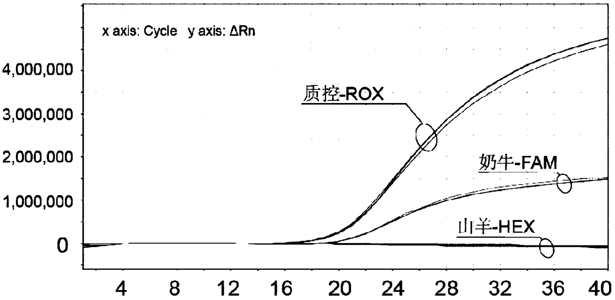 Primers and probes for synchronously detecting goat origin and cow origin in raw milk as well as kit