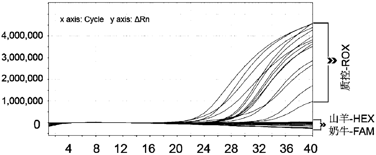 Primers and probes for synchronously detecting goat origin and cow origin in raw milk as well as kit